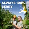 Jungle Powders Organic Aronia Berry Powder 5 Ounce Bag Freeze Dried Chokeberry Extract from Whole Aronia Berries, Superfood for Immunity, High in Antioxidants, Flavonoids, Vegan and Gluten Free view 2