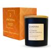 Anovina Pumpkin Candle  Fall Scented Candle with Premium Soy Wax Blend  Cozy Autumn & Holiday Gift Candle for Women and Men view 1