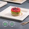 100% Compostable Square Paper Plates 10 inch [250-Bulk Pack] - (PFAS-Free) - (BPI Certified) Heavy Duty, Eco-Friendly, Biodegradable Bagasse Dinner Plates - Natural Brown 10x10" Plate view 4