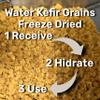 Dehydrated Starter Water Kefir Grains Fermented Probiotic Drink Powder for Stronger Gut Health | Heirloom Starter Makes Limitless Supply | Non-GMO Dairy Free Vegan Sparkling Water with Enzymes view 2