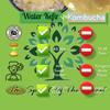 Dehydrated Starter Water Kefir Grains Fermented Probiotic Drink Powder for Stronger Gut Health | Heirloom Starter Makes Limitless Supply | Non-GMO Dairy Free Vegan Sparkling Water with Enzymes view 3