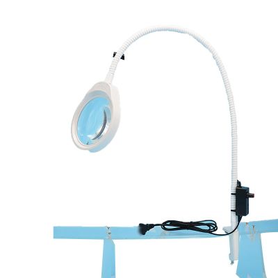 10X Magnifying Glass with Light and Stand, Stepless Dimmable 2-in-1 LED Lighted Magnifier, Hands Free Magnifying Desk Lamp with Clamp for Repairing Reading Craft Hobby