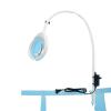 10X Magnifying Glass with Light and Stand, Stepless Dimmable 2-in-1 LED Lighted Magnifier, Hands Free Magnifying Desk Lamp with Clamp for Repairing Reading Craft Hobby view 1