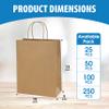 Excellent 10x5x13 Brown Kraft Paper Shopping Bags, Merchandise, Retail Bags, Party Favor Gift Bags, Large Paper Sacks with Handles available in Packs of 25/50/100/250CT (50) view 2