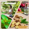 Wangwan Concentrete Organic Remedy Massage Oil - Soothing Relief for Muscle and Joint Comfort - Herbal Relief for Back, Neck, Knee, Shoulder, Foot Massage (8CC (0.28 oz)) view 4