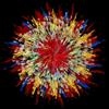 Feather Duster Poster Print - David Manlove (24 x 24) view 1