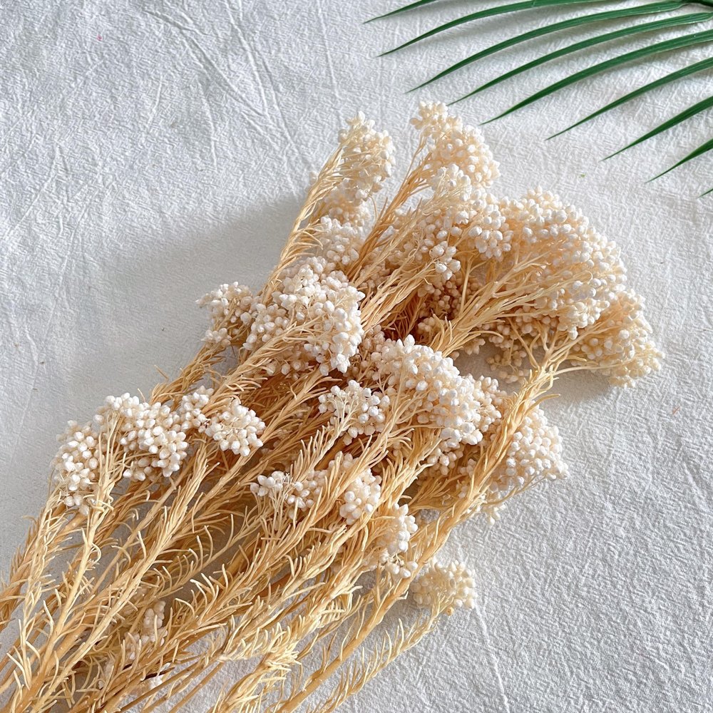 MOORCHOCO Natural Millet Flowers Dried Bouquet for Home and Wedding Decoration (White)