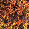 Colorful Mix of Crinkle Paper for Birthdays, Gift Bags or Easter Baskets (Halloween Mix, 1 Pound) view 1