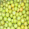Authentic Nepali Akabare Khursani Chhop Spicy Pickle Mix Lemon & Gooseberry Powder -Chiltepin Peppers/Chile Chiltepe/Chili Piquin Super Spicy Akabare Khursani Achar Pickles view 4