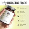 BIOSTACK NAD Regen (30 Days Supply) - Advanced NAD+ Supplement with NAD3, Yth Spermidine, Resveratrol, Niacinamide | NMNH Alternative | Anti Aging, Longevity & Cellular Health, Vitamin B3 Complex view 4