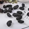BUSOTH Natural Organic Mulberries, Naturally Dried, Without Additives. (1000 Gram) view 4