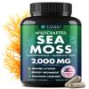 Secret Element Sea Moss Capsules with Burdock Root, Bladderwrack & Muira Puama  Plant-Based Sea Moss Supplement with Raw Powder  120 Capsules view 1