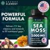 Secret Element Sea Moss Capsules with Burdock Root, Bladderwrack & Muira Puama  Plant-Based Sea Moss Supplement with Raw Powder  120 Capsules view 2
