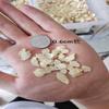 Akersunder 500 Grams (1.1 Lb.) Soft Sliced American Ginseng Root Slice, (Sliced Diameter 0.6-1 cm) Panax quinquefolium/Panax quinquefolius view 2