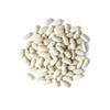 Food to Live Organic Cannellini Beans, 2 Pounds  Non-GMO, Dried White Kidney Beans, Sproutable, Vegan, Kosher, Bulk. Pre-Soak Needed. Rich in Fiber, Protein. Great for Minestrone Soup, Bean Salad. view 4