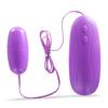 12-Speed Vibrating Bullet Egg G-spot Anal Vibe Adult Pleasure Toy view 3
