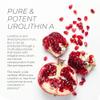 Neurogan Urolithin A PRO Capsules - 1000mg, 120 Ct - Advanced Cellular Health, Post Biotic Supplements - Ultra Micronized Urolithin A Supplement, Sourced from Pomegranate Extract view 4