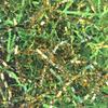 Amsthow Green and Gold Crinkle Paper Filler Shredded Basket Stuffing 1/2 LB Gift Basket Box Wrap Cut Raffia Grass for Easter Decoration Wedding view 1