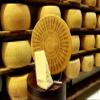 1,5 Kg (3 x 500 Gr.) Parmigiano Reggiano AOP - Vacche Rosse - 30 Mois - Selected by PARMAshop view 4