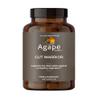 All In Nutritionals Agap Herbals Gut Warrior view 1