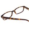 Calabria Ernest 4910 Rectangular Reading Glasses +0.00 Gloss Amber Brown Tortoise Havana/Gold Accents Men Women view 4