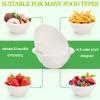Yesland 250 Pack 8 oz Natural Biodegradable Sugarcane Bowls, White Small Disposable Paper Bowl Compostable Bagasse Soup Bowls, Microwave Chili Bowl for Salad, Dessert, Snack, Hot Soup view 3