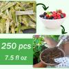 Yesland 250 Pack 8 oz Natural Biodegradable Sugarcane Bowls, White Small Disposable Paper Bowl Compostable Bagasse Soup Bowls, Microwave Chili Bowl for Salad, Dessert, Snack, Hot Soup view 4