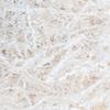 Keoferlo Basket Stuffing White Crinkle Shredded Paper 1/2 LB Gift Box Filler Cut Baskets Paper Grass for Bridesmaid Proposal Box Packing Shipping Decorations Craft view 1
