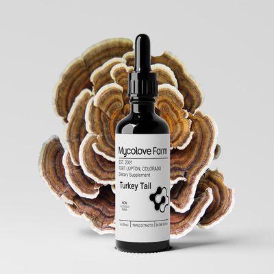 Mycolove Farm Organic Turkey Tail & Echinacea Tinctures Body, and System Support