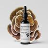 Mycolove Farm Organic Turkey Tail & Echinacea Tinctures Body, and System Support view 1