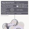 Mycolove Farm Organic Turkey Tail & Echinacea Tinctures Body, and System Support view 4