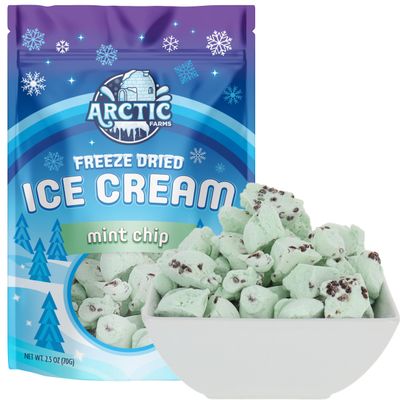 Arctic Farms Freeze Dried Ice Cream Bits Bagged and Boxed - Does Not Melt (Mint Chocolate Chip, 2.5oz)