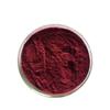 Bright sunlight Peanut Coat Procyanidins 95% Peanut Coat Extract 300g view 1