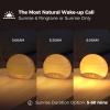 REACHER Natural Wood Grain Sound Machine Sunrise Alarm Clock26 Nature Inspired Sleeping Sounds, 0-100% Dimmable Clock, Night Light,Brown/Pink/White Noise Sound Machine for Babys, Kids, Adults view 2