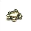 ASTROGHAR Natural Golden Pyrite Crystal Mini 20 mm Tortoise view 1