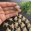 ASTROGHAR Natural Golden Pyrite Crystal Mini 20 mm Tortoise view 3