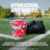 GHOST Hydration Packets, Sonic Cherry Limeade, 24 Sticks, Electrolyte Powder - Drink Mix Supplement with Magnesium, Potassium, Calcium, Vitamin C - Vegan Friendly, Free of Soy, Sugar & Gluten view 2
