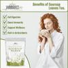 VIMMANCE Soursop Tea Bags, Graviola, Guanabana Tea, Vietnamese Herbal Tea, 100% Natural, Gluten Free, Caffein Free, Sugar Free, Not Bitter but Balance Taste (100 Tea Bags) view 2