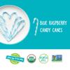 YumEarth Organic Candy Canes - Individually Wrapped Full Size Blue Raspberry Candy Canes - Dye Free, Allergy Friendly, Non GMO, Gluten Free, Vegan - 10 Count (Pack of 1) view 4