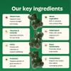 Gruns Adult Super Greens Gummies, 10 Pack, Superfood Gummy Bears with Spirulina, Chlorella & Prebiotics for Digestive Health, Adaptogens Supplement with 20 Vitamins & Minerals, Low Sugar view 4