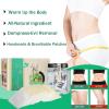 Mugwort Belly Patch, 90Pcs Navel Wormwood Sticker, Natural Wormwood Belly Sticker for Women and Men, Abdomen Belly Pads, Belly Patches for The Whole Body(3 Packs) view 4