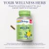 SOLARAY Mullein Leaf 330 mg - Soothing Herbal Support - Mullein Capsules Traditionally Used to Support Health and Wellness - Vegan, Non-GMO, Lab Verified, 60-Day Guarantee, 200 Servings, 200 VegCaps view 3
