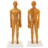 Acupuncture Female Model, Base Acupuncture Model, PVC Comprehensive Acupuncture Practice Model with Book and Chart 20.9in view 2