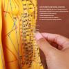 Acupuncture Female Model, Base Acupuncture Model, PVC Comprehensive Acupuncture Practice Model with Book and Chart 20.9in view 4
