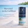 100% Gourmet Fine Sea Salt  Caribbean Sea Salt, Natural & Unrefined, Naturally Mineral-Balanced, Fine Grain Table Salt, Kosher (9 oz) view 2