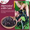 NY Spice Shop Currants Dried Fruit - 5 Pound Currant Raisins - Dried Currants for Baking - Naturally Dried Red Currants - Sweet Black Currant Dried Fruit - Dry Black Grapes for Snacking and Baking view 4