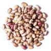 Cranberry Beans, 20 Pounds  Dried Borlotti Beans, Sproutable, Vegan, Kosher, Bulk. Good Source of Folate, Dietary Fiber, Protein. Perfect for Stews, Soup, Pasta view 3