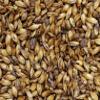 Briess CRYSTAL RED MALT 1LB 150L Drum Roasted Caramel Malt view 3