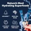 Voli Electrolytes Powder Packets | No Added Sugar Electrolyte Drink Mix for Hydration | Keto & Fasting Friendly, Natural Superfoods & Minerals | Variety Pack, 15-Count view 2