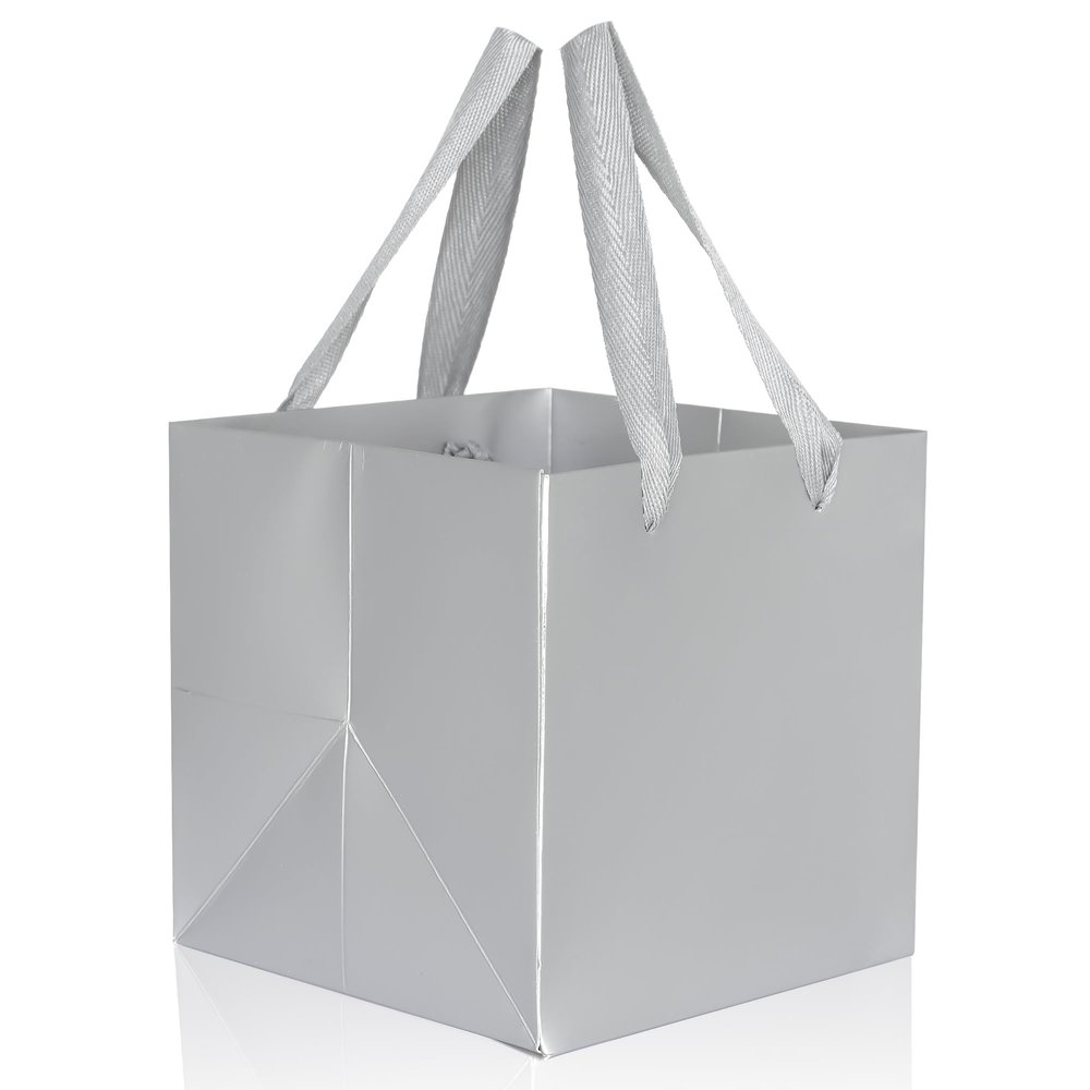 IN-JOOYAA Silver Square Gift Bags Large Paper Bags Party Favor Bag with Rope Handle 10 Pcs (10 x 10 x 10 in, Silver)